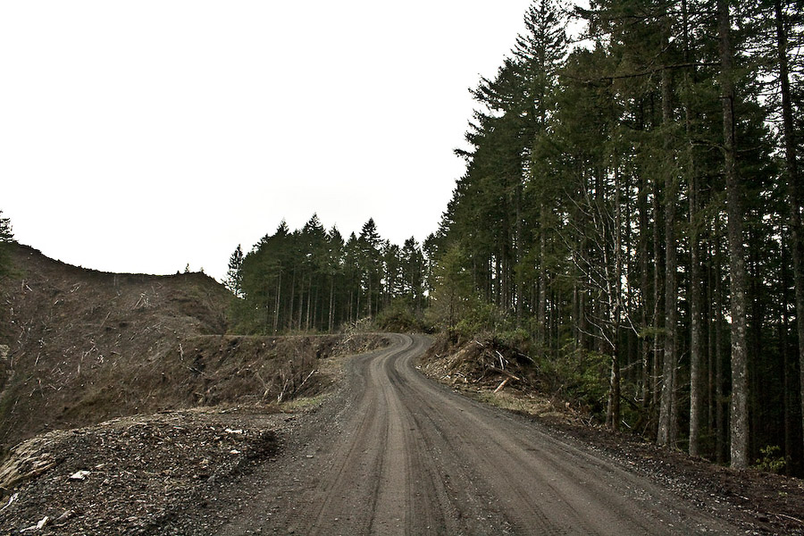 In July of 2009, when Roseburg Forest Products, one of the largest privately owned corporations in the nation, went to cut a tract of 80 to 100 year old trees ("mature growth") on the Umpcoos Ridge of the Elliott State Forest, loggers found dozens of masked Earth First! activists blockading the road with barrels, slash piles, and an overturned van. Several protestors sat in delicate treetop installations, called "bipods" and "skypods" intended to collapse and kill the sitters if tampered with.