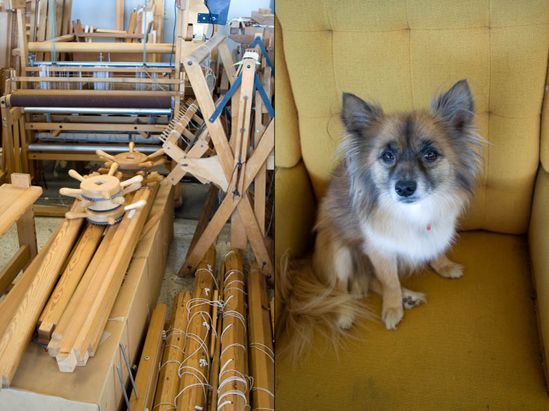 Classic looms stored away inside Studio Gorm and the couple's dog, Juji.